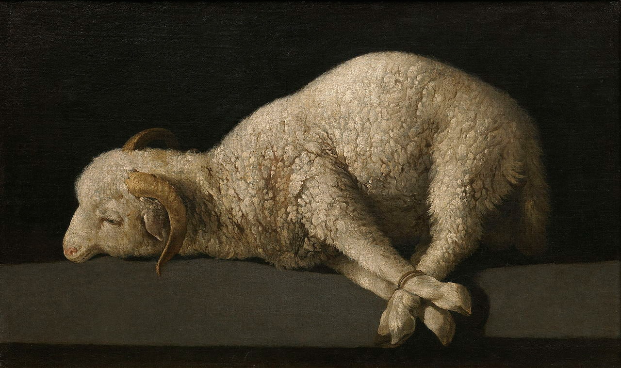 Museo del Prado Madrid mouton Francisco de Zurbarán