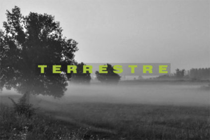 terrestre-feature-image-elenco